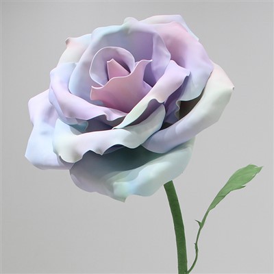 Props Maisiúcháin Rose Eva Fathach Allamuigh