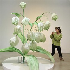 Lily de bhláthanna páipéir an ghleann